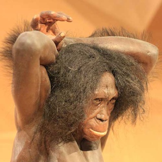 Steinzeitmensch Steinzeitmensch